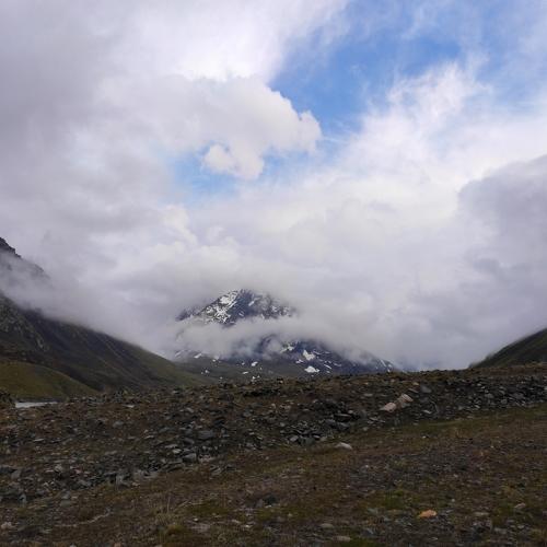 Photo #3939067