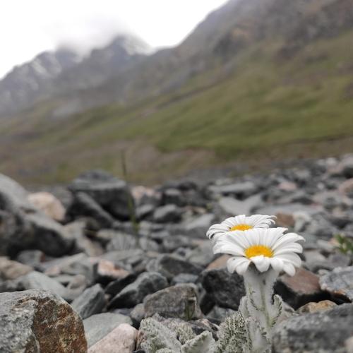 Photo #3939068