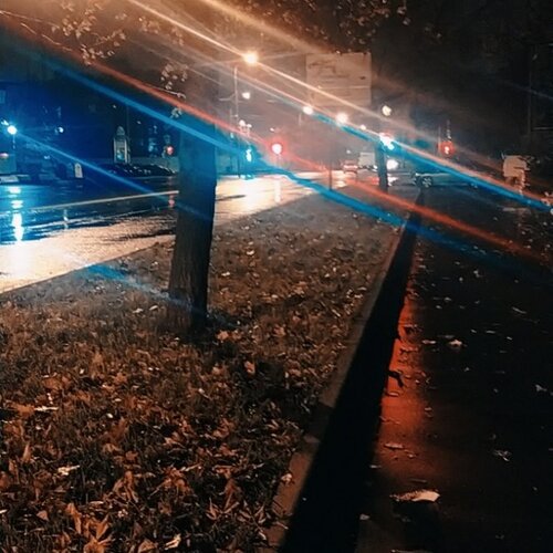 Photo #3939149