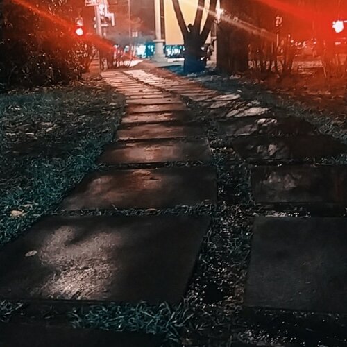 Photo #3939150
