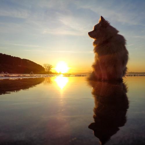 Photo #3939740