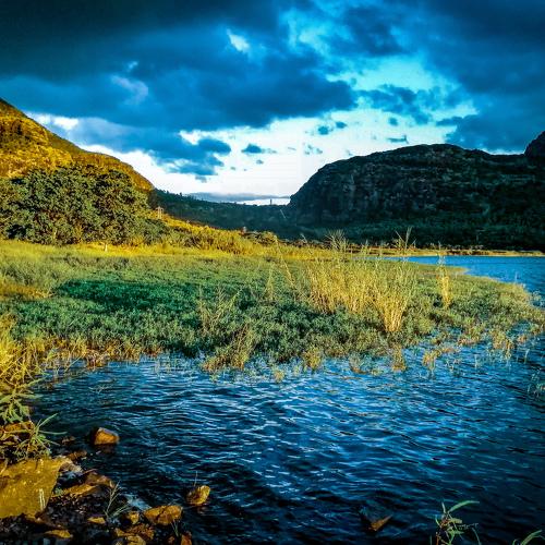 Nature Mauritius