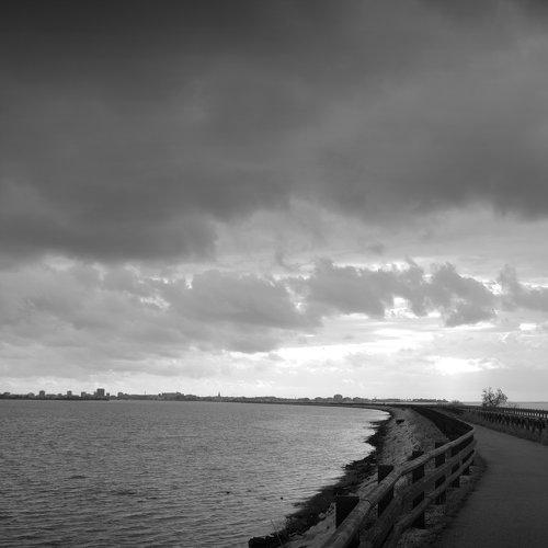 Photo #3940069
