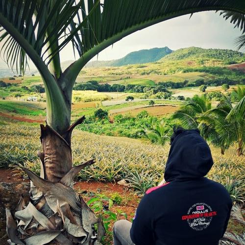Nature Mauritius