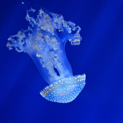 Photo #3940303