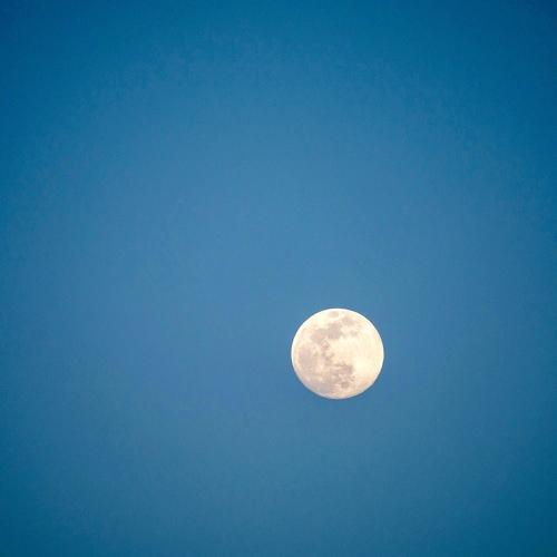 Photo #3941020