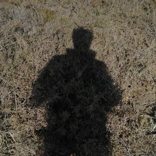 Photo #3941224