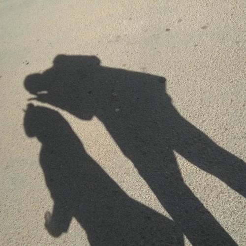 Photo #3941251