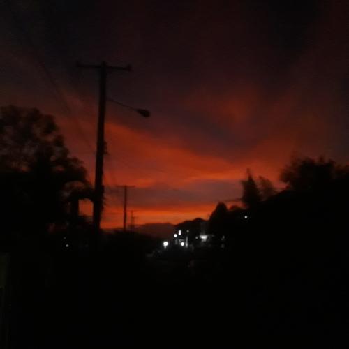 Photo #3941597