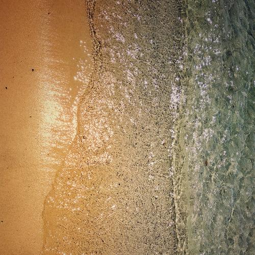 Photo #3941655