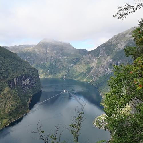 Photo #3941671