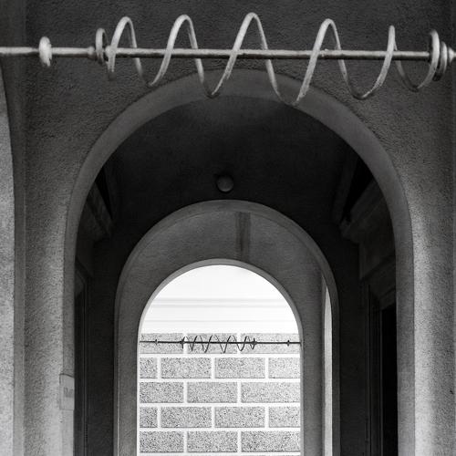Photo #3942349