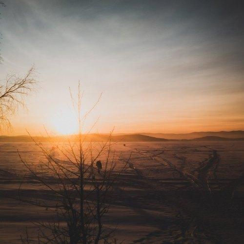Photo #3942585