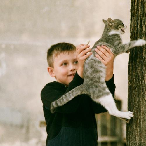 Photo #3943531