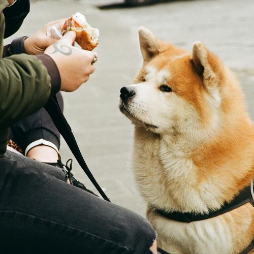 Photo #3943537