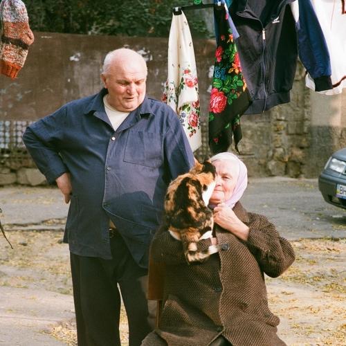 Photo #3943551