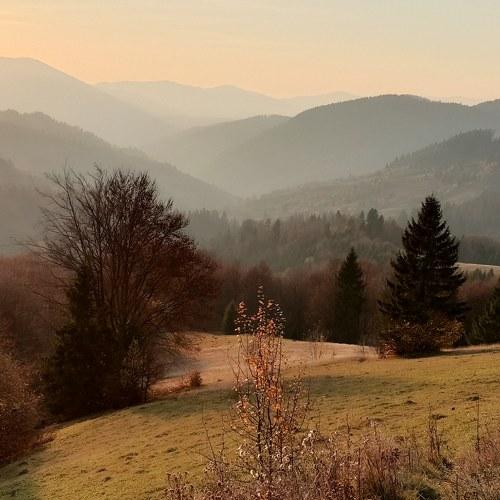 Photo #3945089