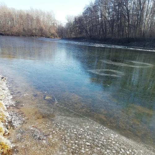 Photo #3945176