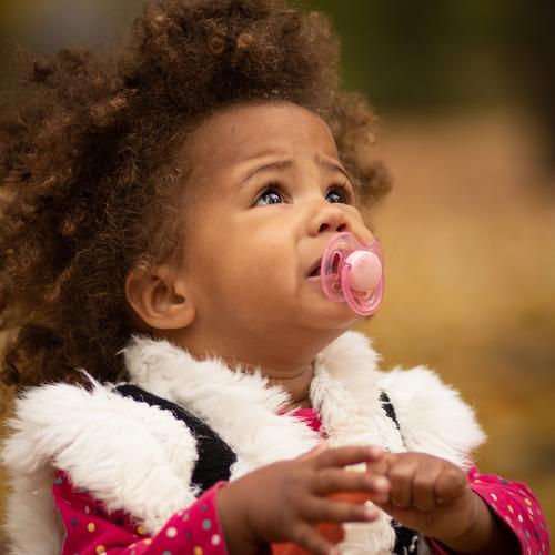 Photo #3945846