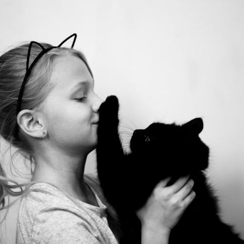 Photo #3945848
