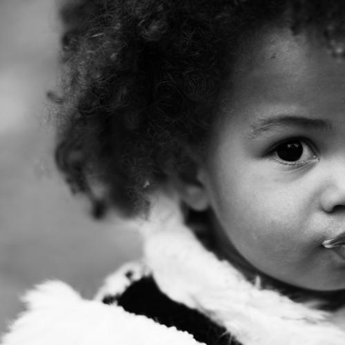 Photo #3945849