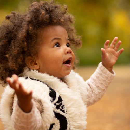 Photo #3945851