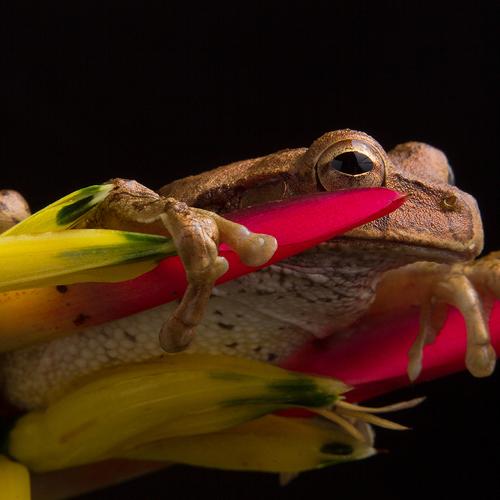 Photo #3945975