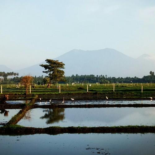 Reflection of Nature