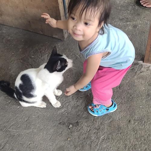 Photo #3946408