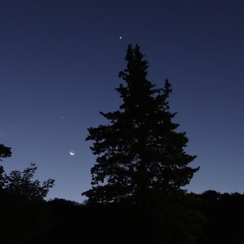 Photo #3946637