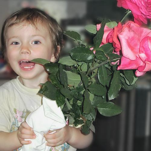 Photo #3946695