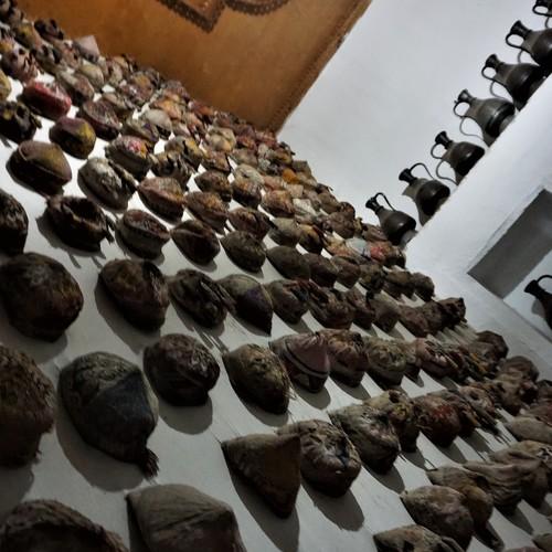 Photo #3946846