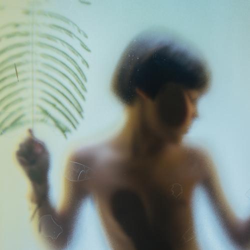 Photo #3947031