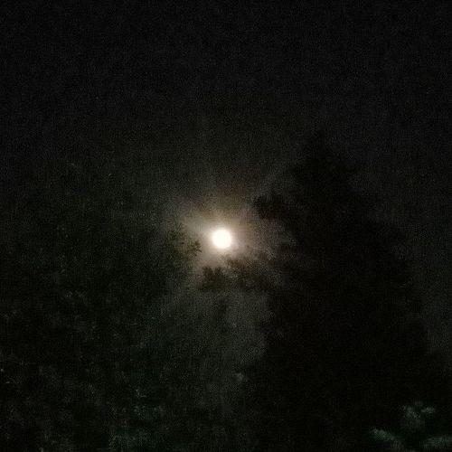 Photo #3947158