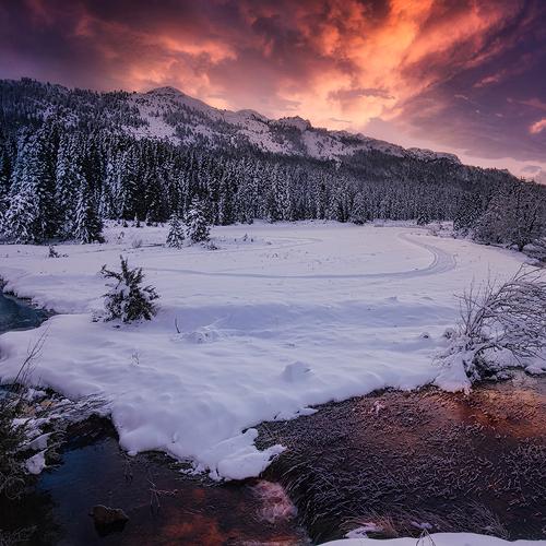 winter fairytale