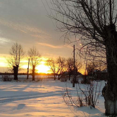 Photo #3947857