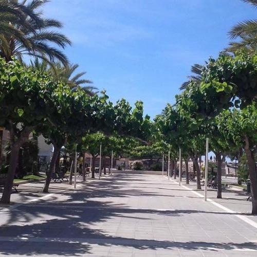Photo #3948051