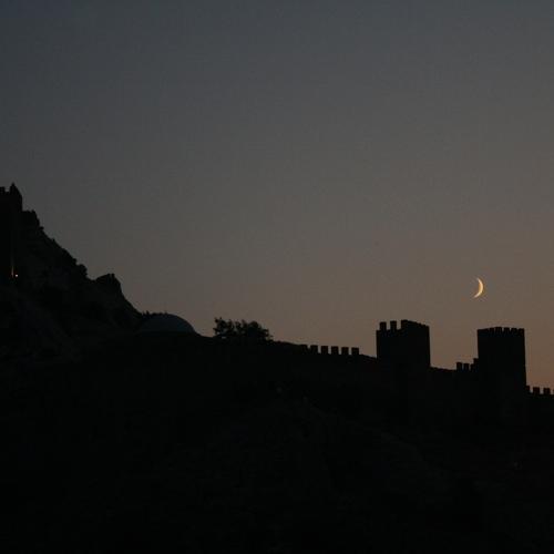 Photo #3948377