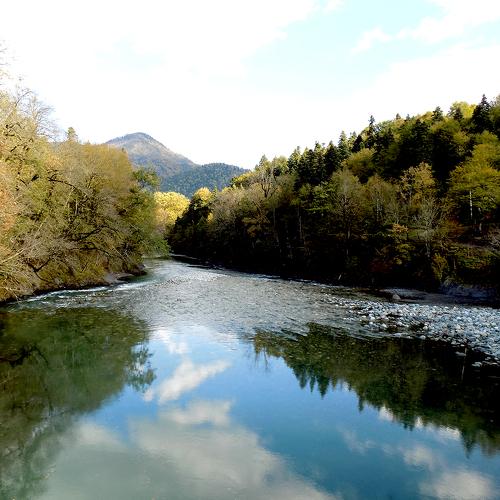 Photo #3948441