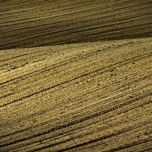 Zagajica Hill Furrows
