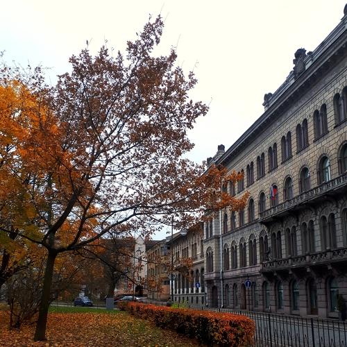 Photo #3949444