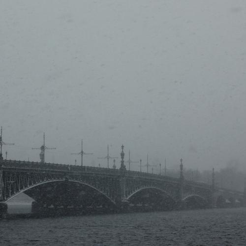 Photo #3949462