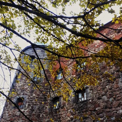 Photo #3949490