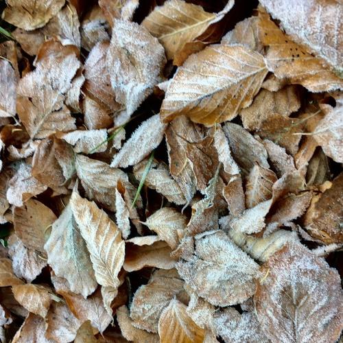 Photo #3949737