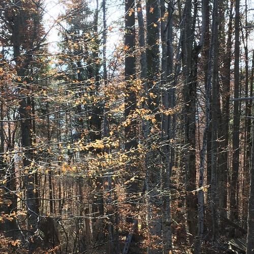 Photo #3949738