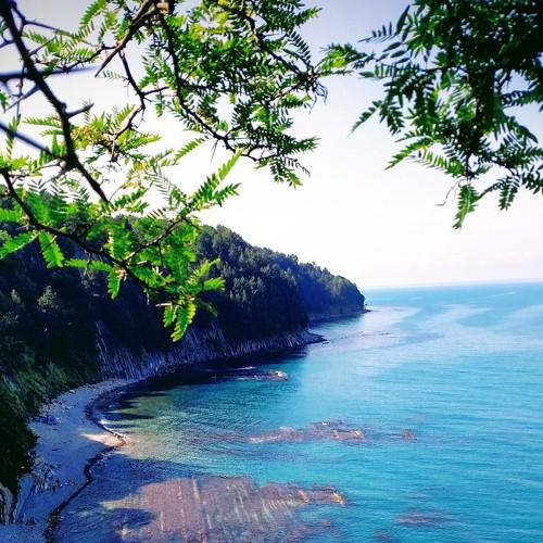 Photo #3950015