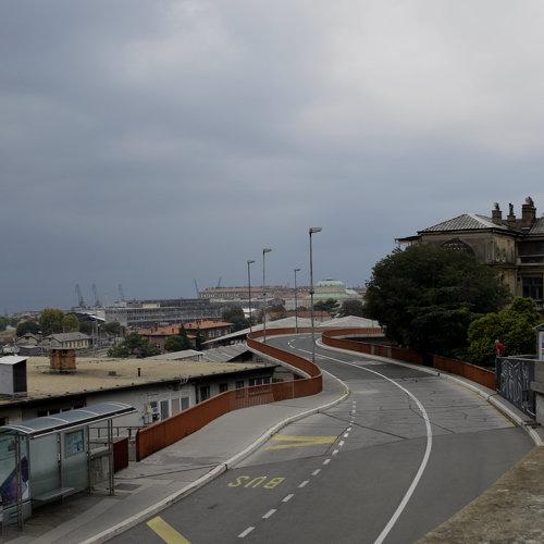 Photo #3950051