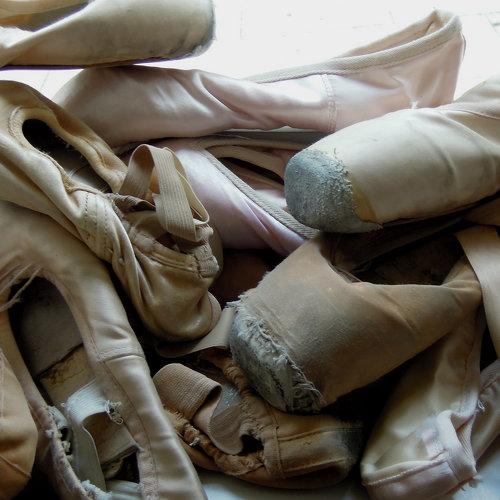 Photo #3950090