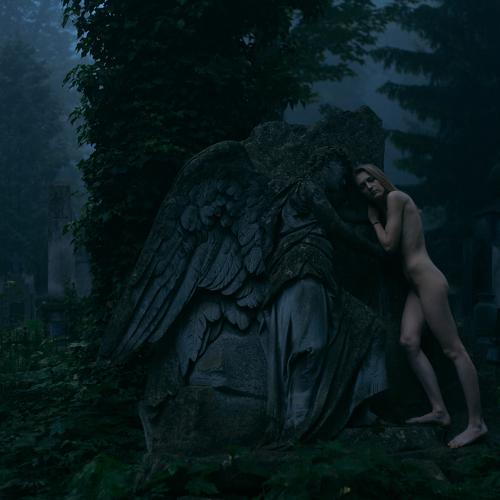 Photo #3950171