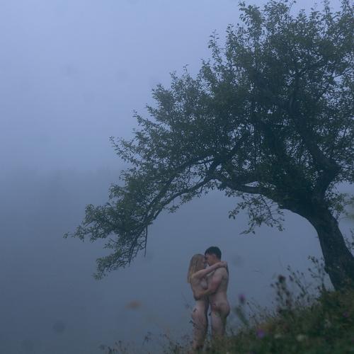 Photo #3950186